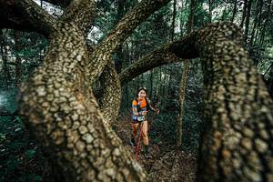 BIB: 
                            <button type="button" onclick="openModal(25394023)" class="btn btn-primary btn-sm float-right btn-popup" data-toggle="modal" data-target=".modal-high-quality">
                        <i class="fas fa-shopping-cart"></i> Add to Cart
                    </button>
                                            <button type="button" onclick="isThisMe(25394023, true)" class="btn btn-success btn-sm float-right btn-popup btn-isme hidden" data-toggle="tooltip" data-placement="bottom" title="นี่คือรูปของคุณใช่ไหม คลิกที่นี่เพื่อเอาเข้าอัลบั้ม">
                        <i class="fas fa-plus"></i> Add to album
                    </button>
                    <button type="button" onclick="isThisMe(25394023, false)" class="btn btn-warning btn-sm float-right btn-popup btn-isnotme hidden">
                        <i class="fas fa-ban"></i> Remove from album
                    </button>